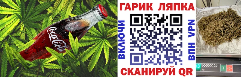 купить  сайты  Новомосковск  мега зеркало  Canna-Cookies марихуана 