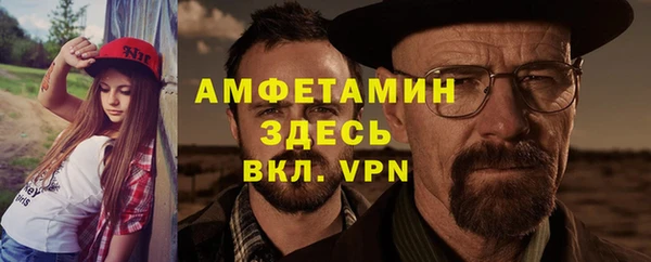 гашик Гусь-Хрустальный