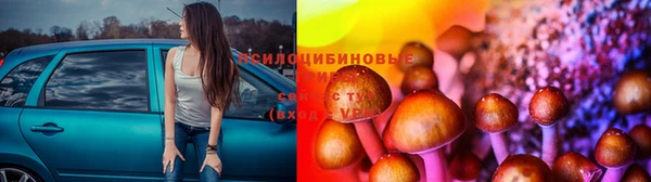 гашик Гусь-Хрустальный
