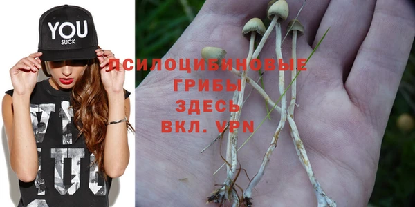 прущая мука Дмитриев