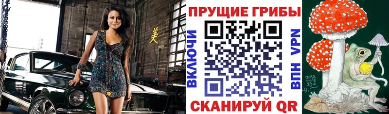где купить наркоту  Новомосковск  Галлюциногенные грибы ЛСД 